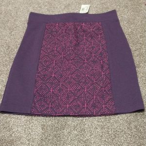 NWT American Eagle Outfitters Mini Skirt Size 0